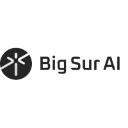 Big Sur AI