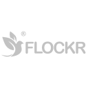 Flockr
